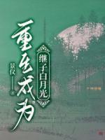 阴阳鉴宝师毒孔丘